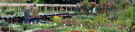 Impressie Tuinplantencentrum Boskoop