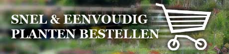 snel & eenvoudig planten bestellen